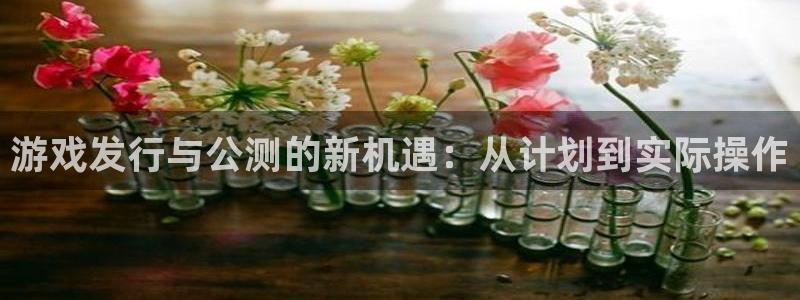 im电竞注册开户：游戏发行与公测的新机遇：从计划到实际操作