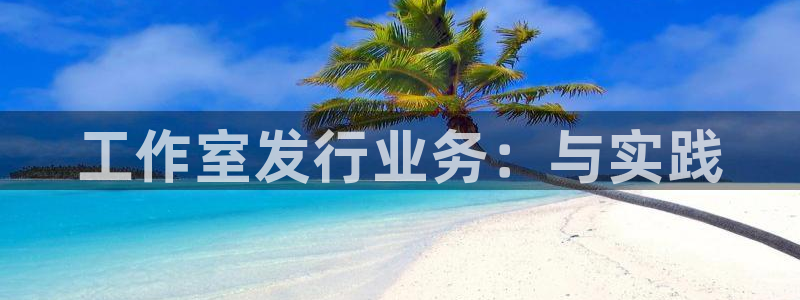 im电竞集团公司怎么样：工作室发行业务：与实践