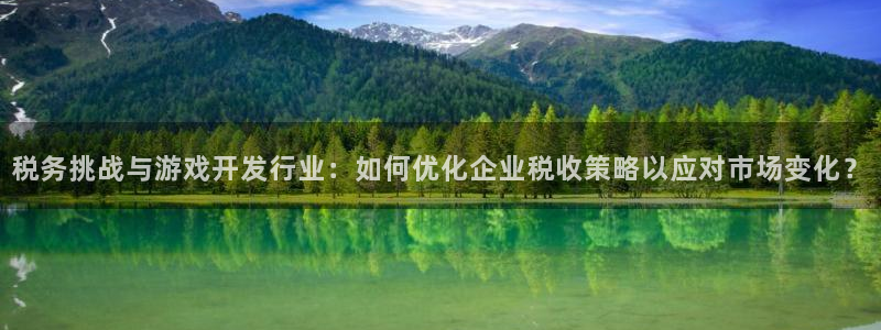 im电竞官网登录注册不了账号：税务挑战与游戏开发行业：如何优化企业税收策略以应对市场变化？