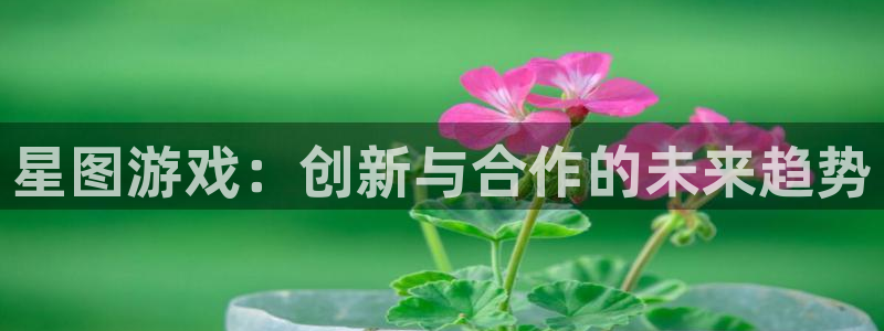 lvncesim电竞衣服：星图游戏：创新与合作的未来趋势