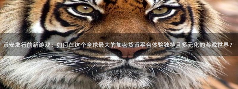 陕西im电竞子文化创意有限公司有什么游戏：币安发行的新游戏：如何在这个全球最大的加密货币平台体验独特且多元化的游戏世界？