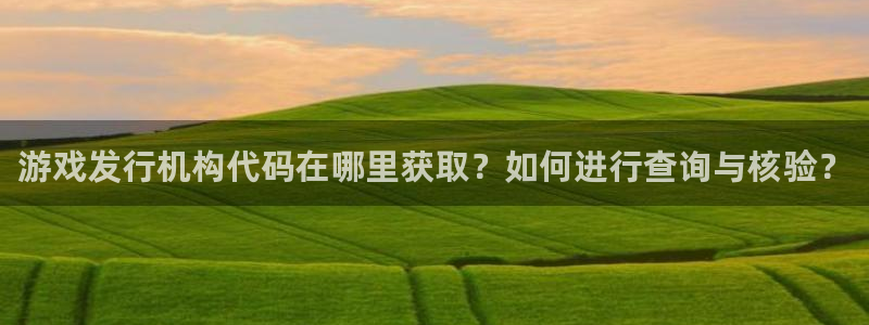 im电竞子年度最佳图书：游戏发行机构代码在哪里获取？如何进行查询与核验？