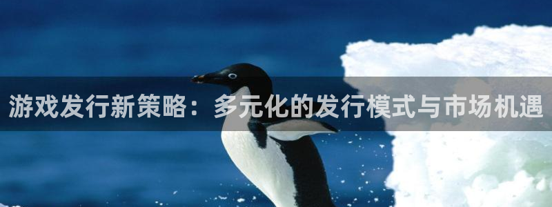 im电竞子文化是干什么的：游戏发行新策略：多元化的发行模式与市场机遇