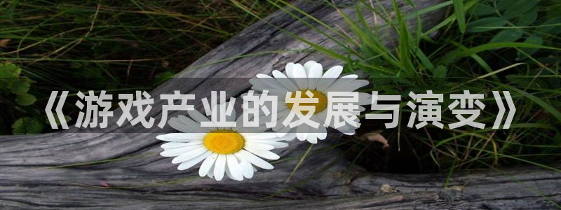 im电竞官网客服服务电话：《游戏产业的发展与演变》