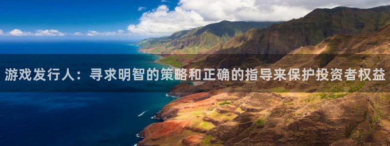 im电竞子出版社：游戏发行人：寻求明智的策略和正确的指导来保护投资者权益