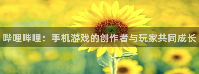im电竞官网开户待遇：哔哩哔哩：手机游戏的创作者与玩家共同成长