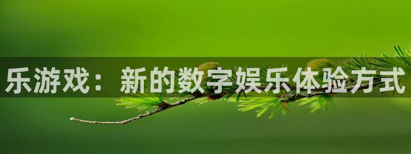 长沙im电竞子电子商务有限公司：乐游戏：新的数字娱乐体验方式