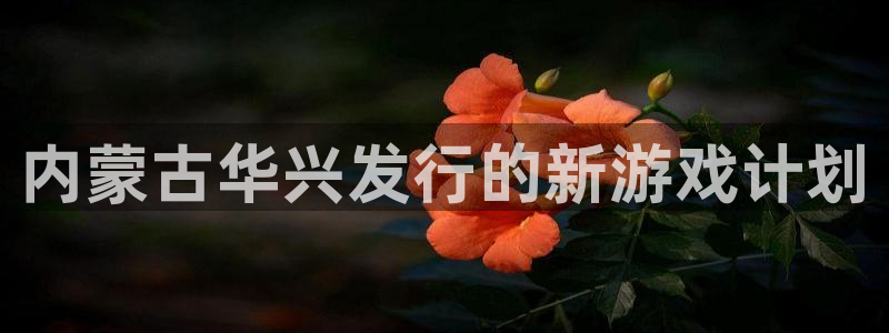 im电竞平台登录入口官网：内蒙古华兴发行的新游戏计划