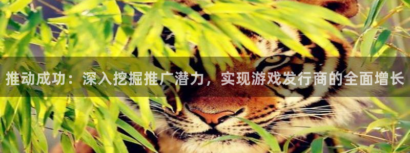 im电竞lvnces官网：推动成功：深入挖掘推广潜力，实现游戏发行商的全面增长