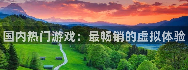 im电竞是什么品牌