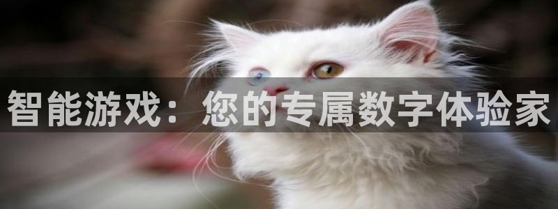 im电竞官网平台代理条件如何：智能游戏：您的专属数字体验家