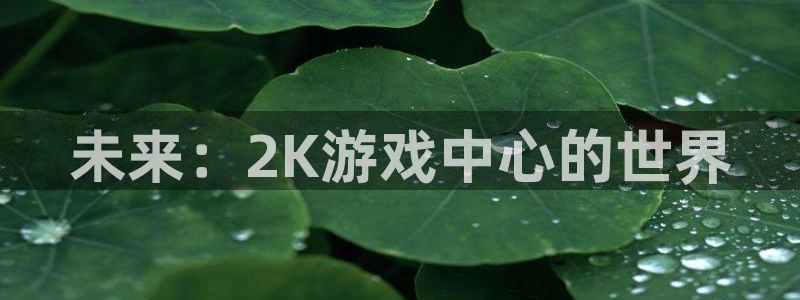 im电竞官网主营业务