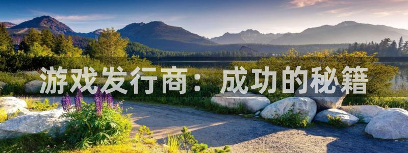 im电竞子怎么样